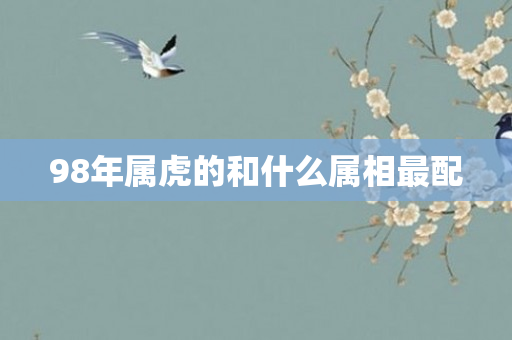 98年属虎的和什么属相最配