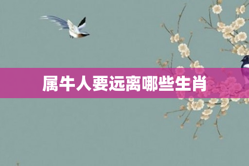 属牛人要远离哪些生肖