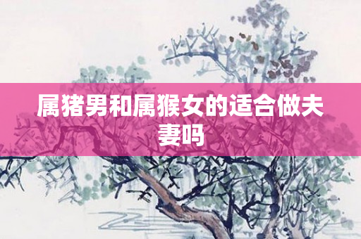 属猪男和属猴女的适合做夫妻吗