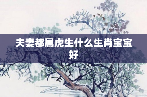夫妻都属虎生什么生肖宝宝好