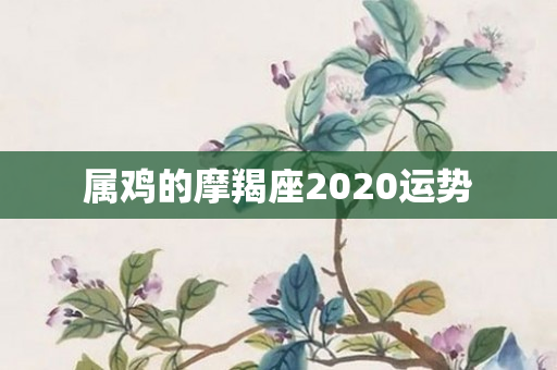 属鸡的摩羯座2020运势