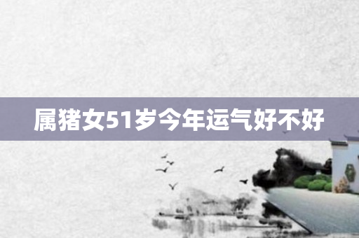 属猪女51岁今年运气好不好