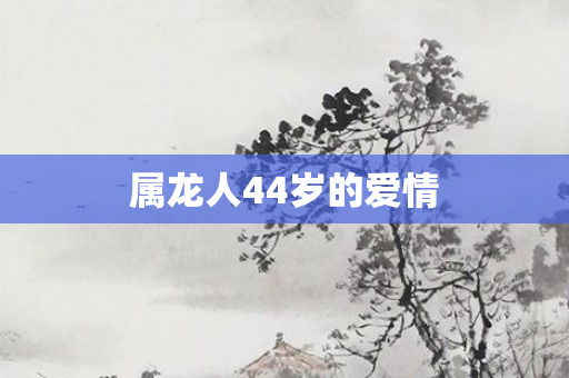 属龙人44岁的爱情