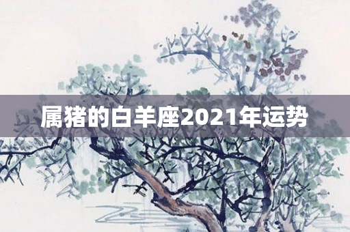 属猪的白羊座2021年运势