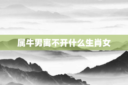 属牛男离不开什么生肖女