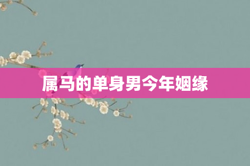 属马的单身男今年姻缘