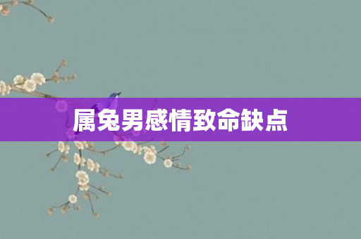 属兔男感情致命缺点