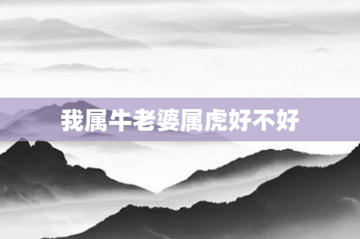 我属牛老婆属虎好不好