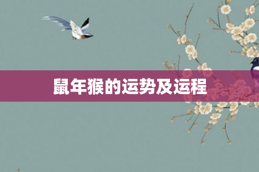 鼠年猴的运势及运程
