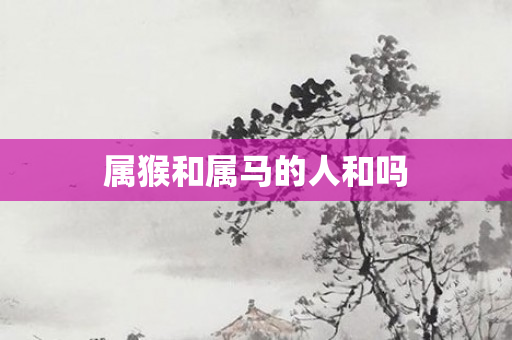 属猴和属马的人和吗