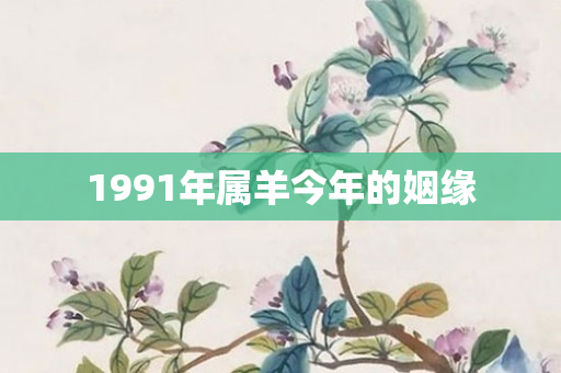 1991年属羊今年的姻缘