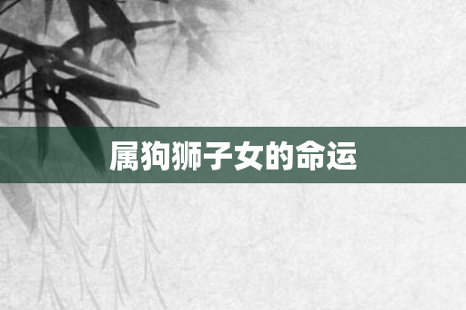 属狗狮子女的命运