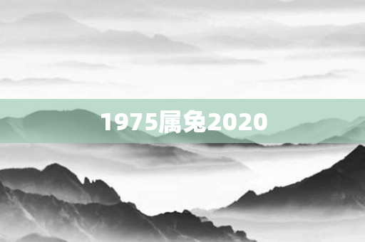 1975属兔2020