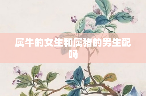 属牛的女生和属猪的男生配吗