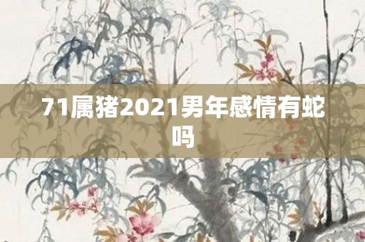 71属猪2021男年感情有蛇吗
