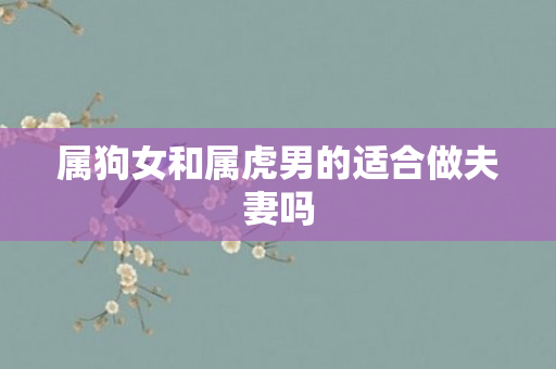 属狗女和属虎男的适合做夫妻吗