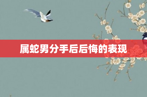 属蛇男分手后后悔的表现