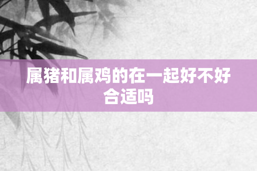 属猪和属鸡的在一起好不好合适吗