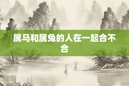 属马和属兔的人在一起合不合