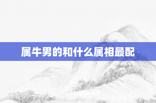 属牛男的和什么属相最配