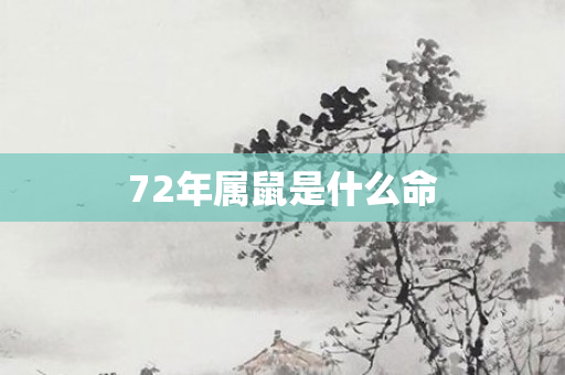 72年属鼠是什么命