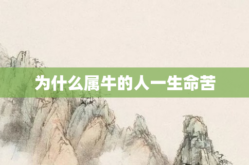 为什么属牛的人一生命苦