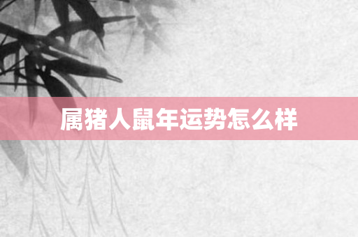 属猪人鼠年运势怎么样