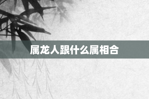 属龙人跟什么属相合