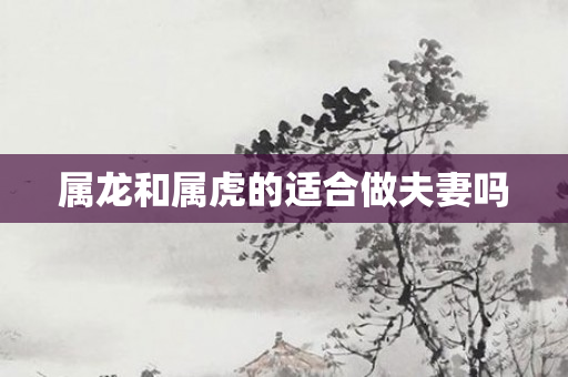 属龙和属虎的适合做夫妻吗