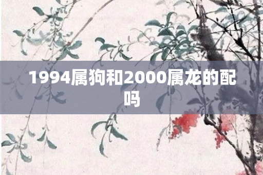 1994属狗和2000属龙的配吗