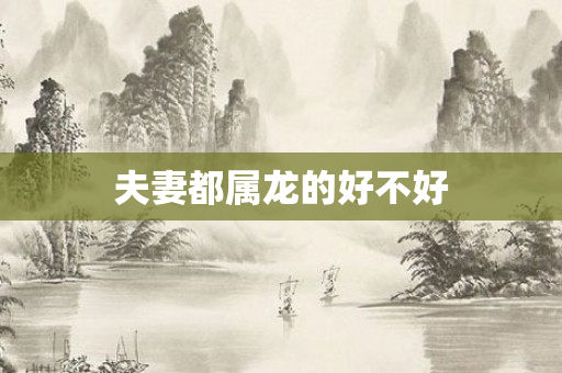 夫妻都属龙的好不好