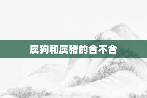 属狗和属猪的合不合