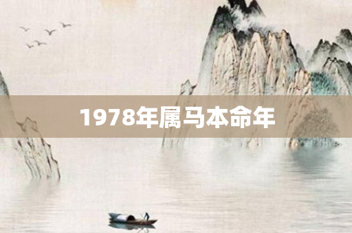 1978年属马本命年