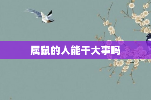 属鼠的人能干大事吗