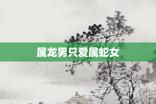 属龙男只爱属蛇女