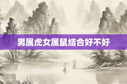 男属虎女属鼠结合好不好