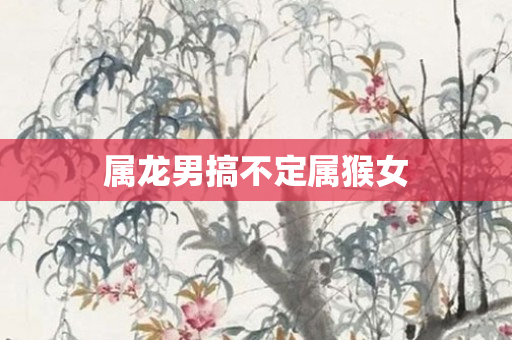 属龙男搞不定属猴女