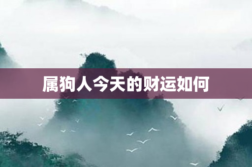 属狗人今天的财运如何