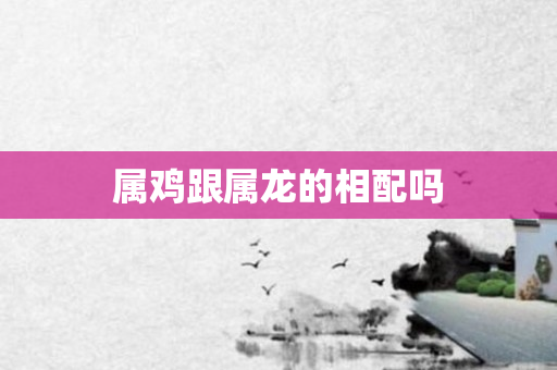 属鸡跟属龙的相配吗