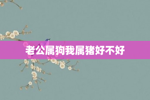 老公属狗我属猪好不好