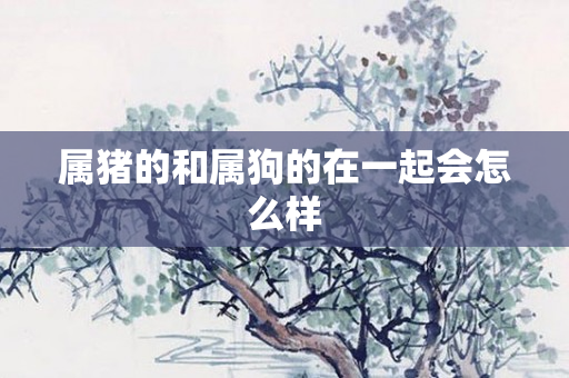 属猪的和属狗的在一起会怎么样