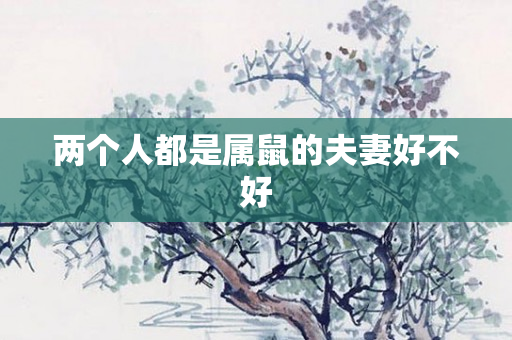 两个人都是属鼠的夫妻好不好