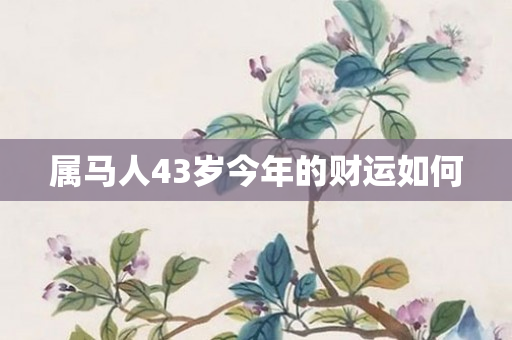 属马人43岁今年的财运如何