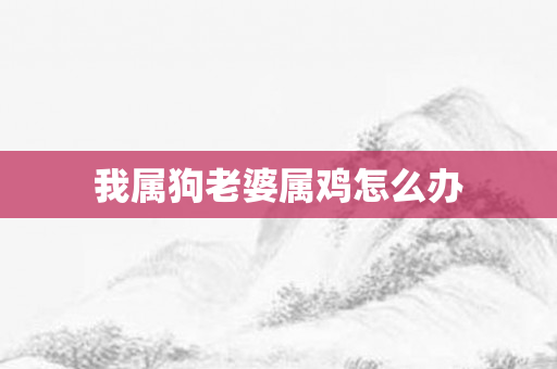 我属狗老婆属鸡怎么办