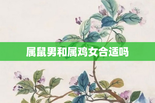 属鼠男和属鸡女合适吗