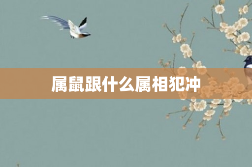 属鼠跟什么属相犯冲