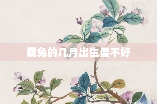 属兔的几月出生最不好