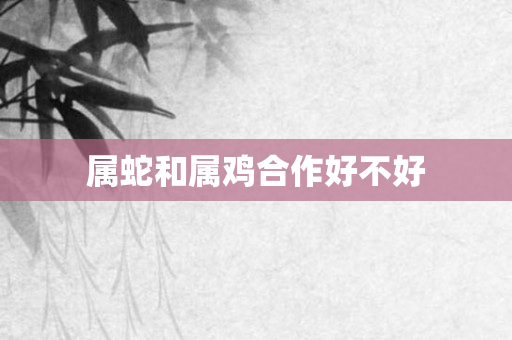 属蛇和属鸡合作好不好