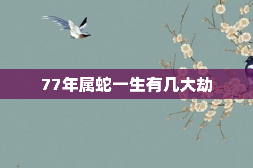 77年属蛇一生有几大劫