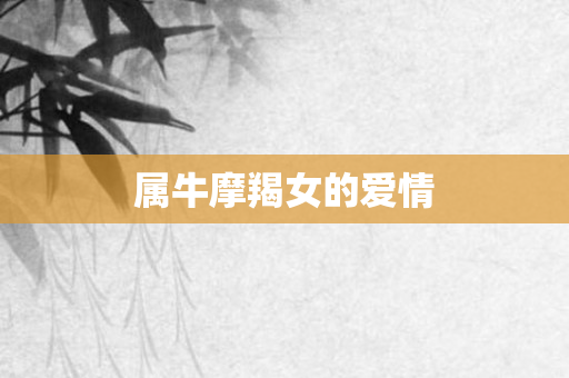属牛摩羯女的爱情